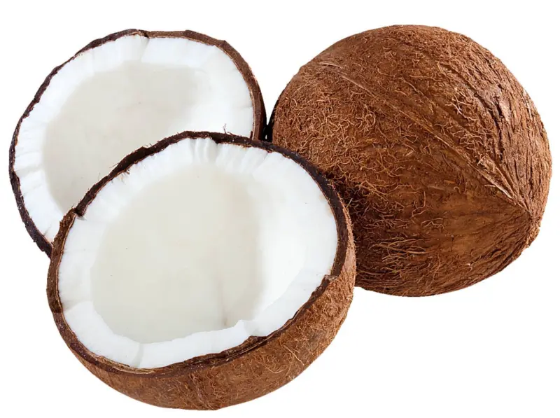 Кокосов орех