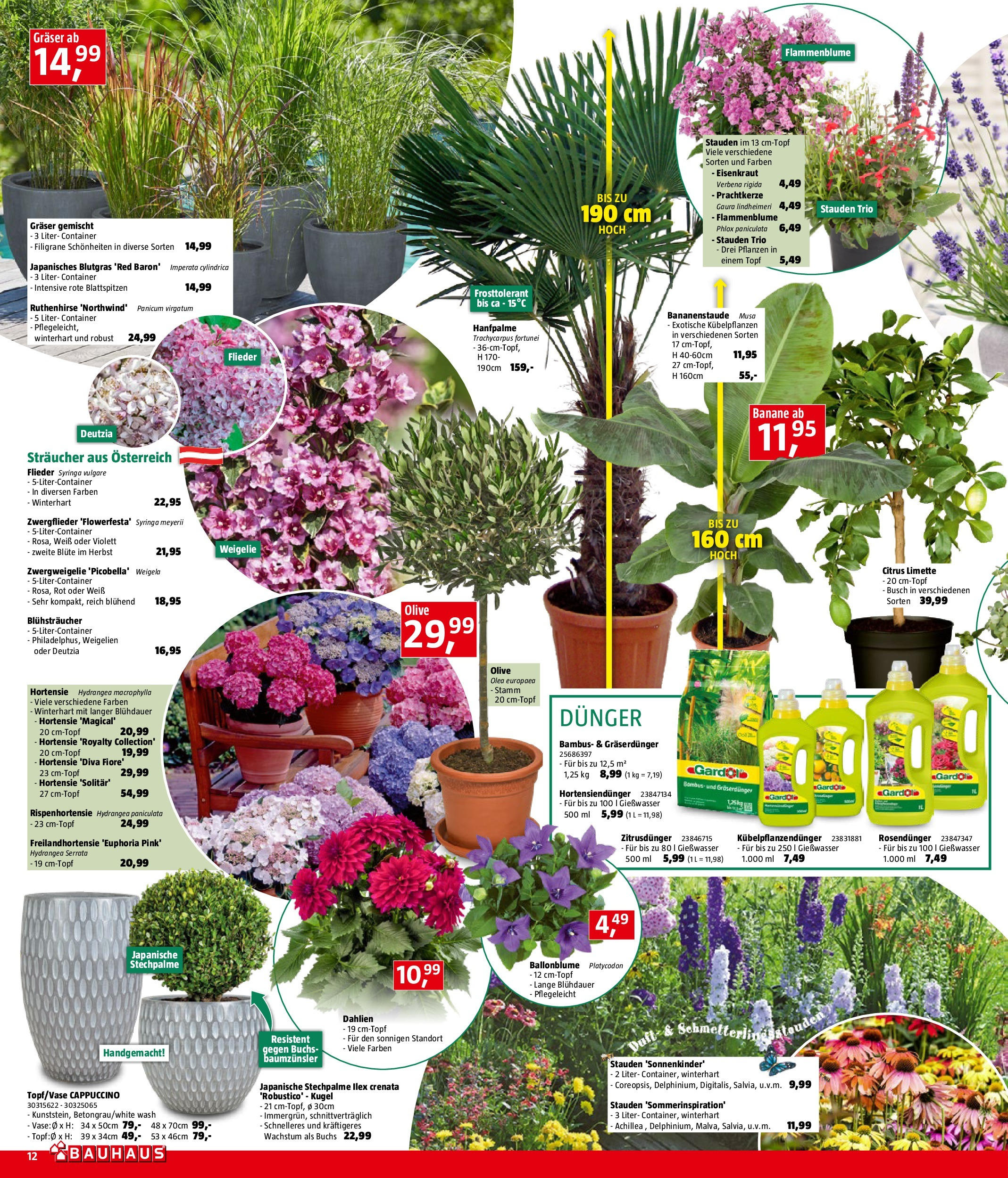 Bauhaus Prospekt aktuell von 26.05.2025 - Aktuelle Angebote | Seite: 12 | Produkte: Limette, Vase