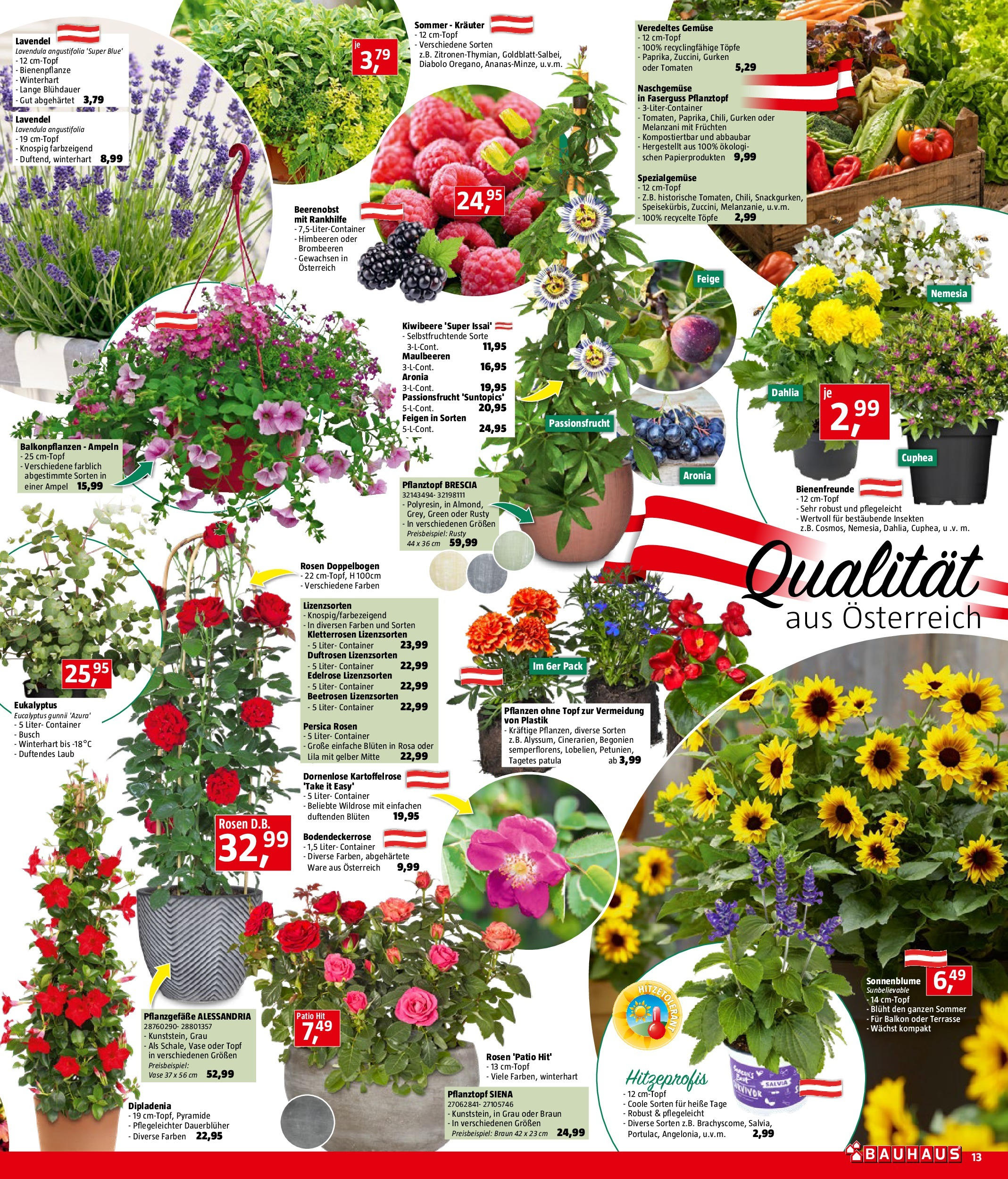 Bauhaus Prospekt aktuell von 26.05.2025 - Aktuelle Angebote | Seite: 13 | Produkte: Gurken, Gemüse, Vase, Tomaten