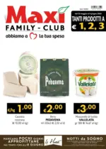 Maxì Family Tanti prodotti a 1,2,3 euro - al 04.06.2025
