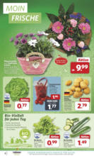 Unsere Combi Wochenangebote