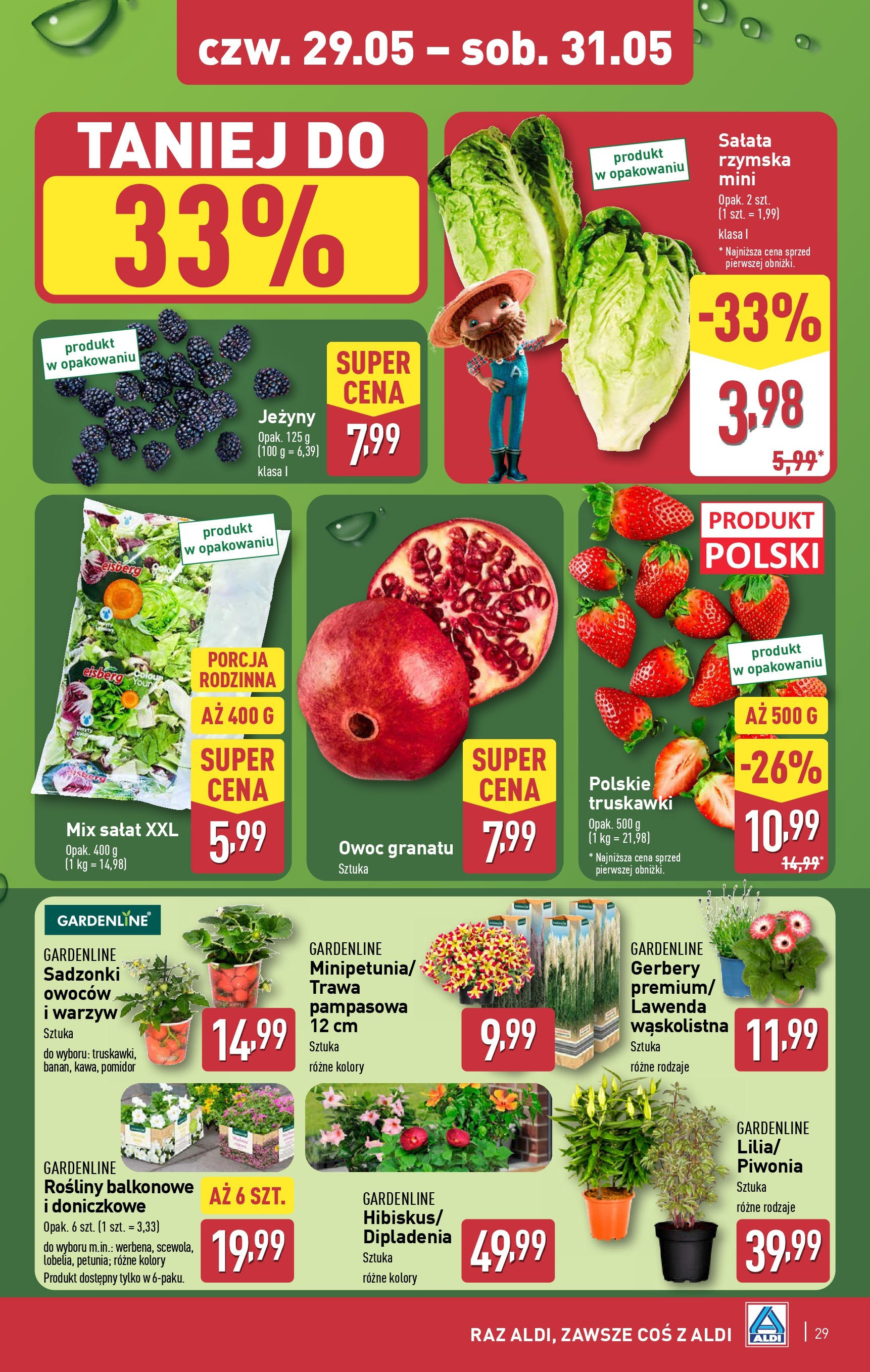 Aldi Gazetka od 26.05.2025 - Ulotka PDF, promocje | Strona: 29 | Produkty: Jeżyny, Rosliny, Mix sałat, Truskawki