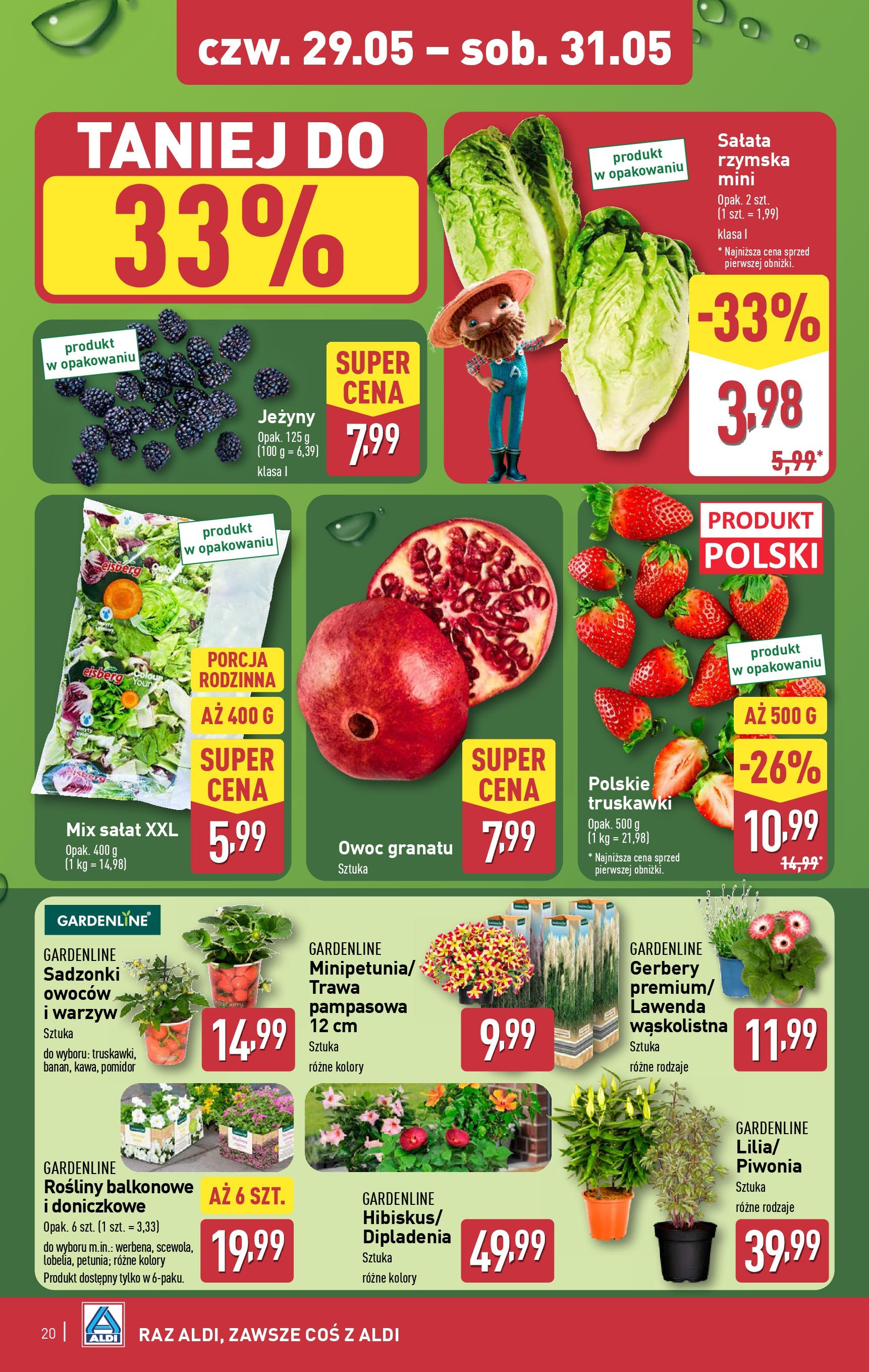 Aldi Gazetka - Okazje na weekend od 29.05.2025 - Ulotka PDF, promocje | Strona: 4 | Produkty: Jeżyny, Mix sałat, Trawa pampasowa, Truskawki