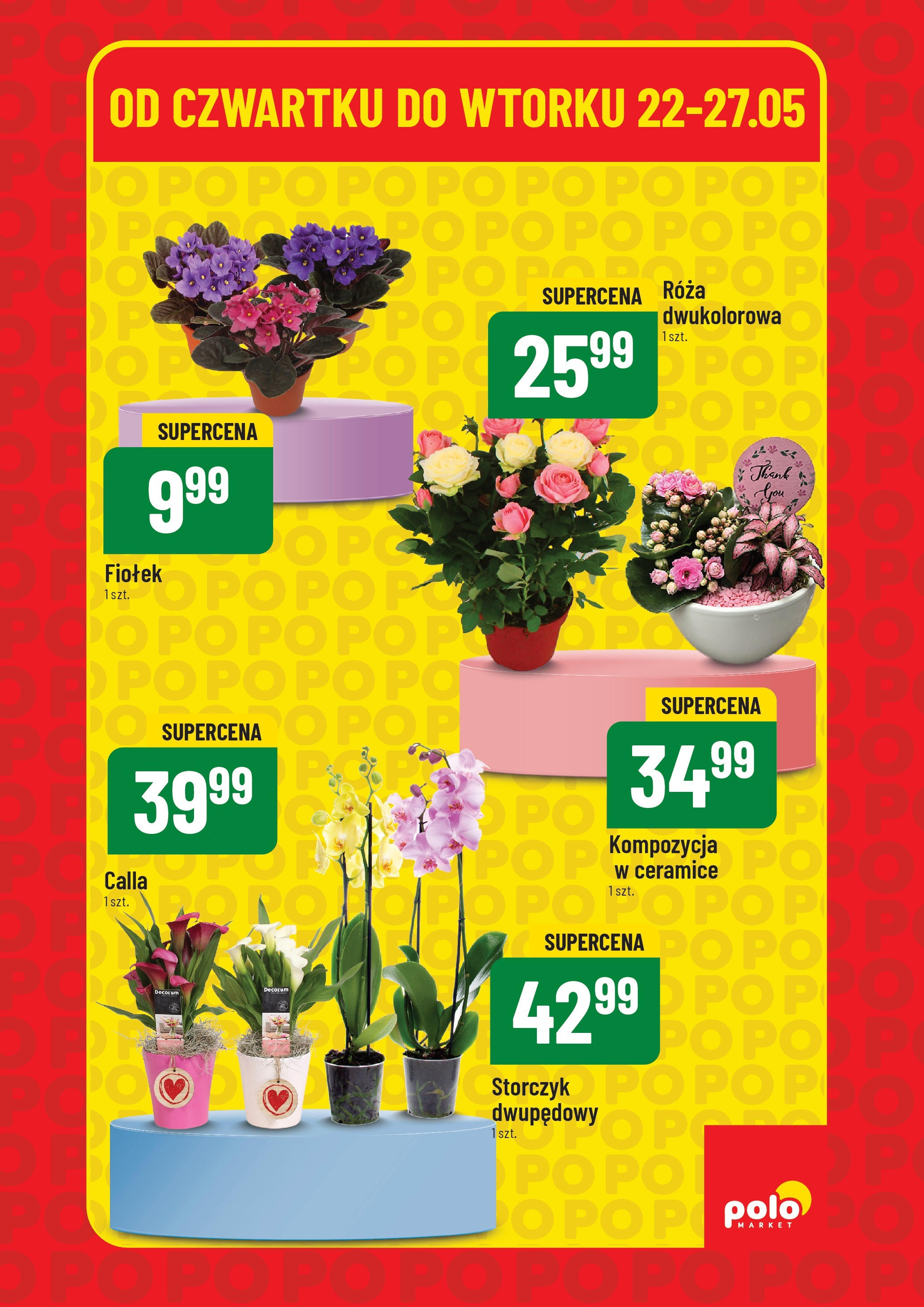 POLOmarket gazetka od jutra (23.05.2025) - Nowa PDF | Strona: 5 | Produkty: Storczyk