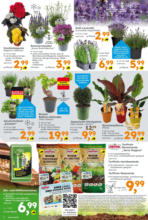 Globus Baumarkt: Wochenangebote