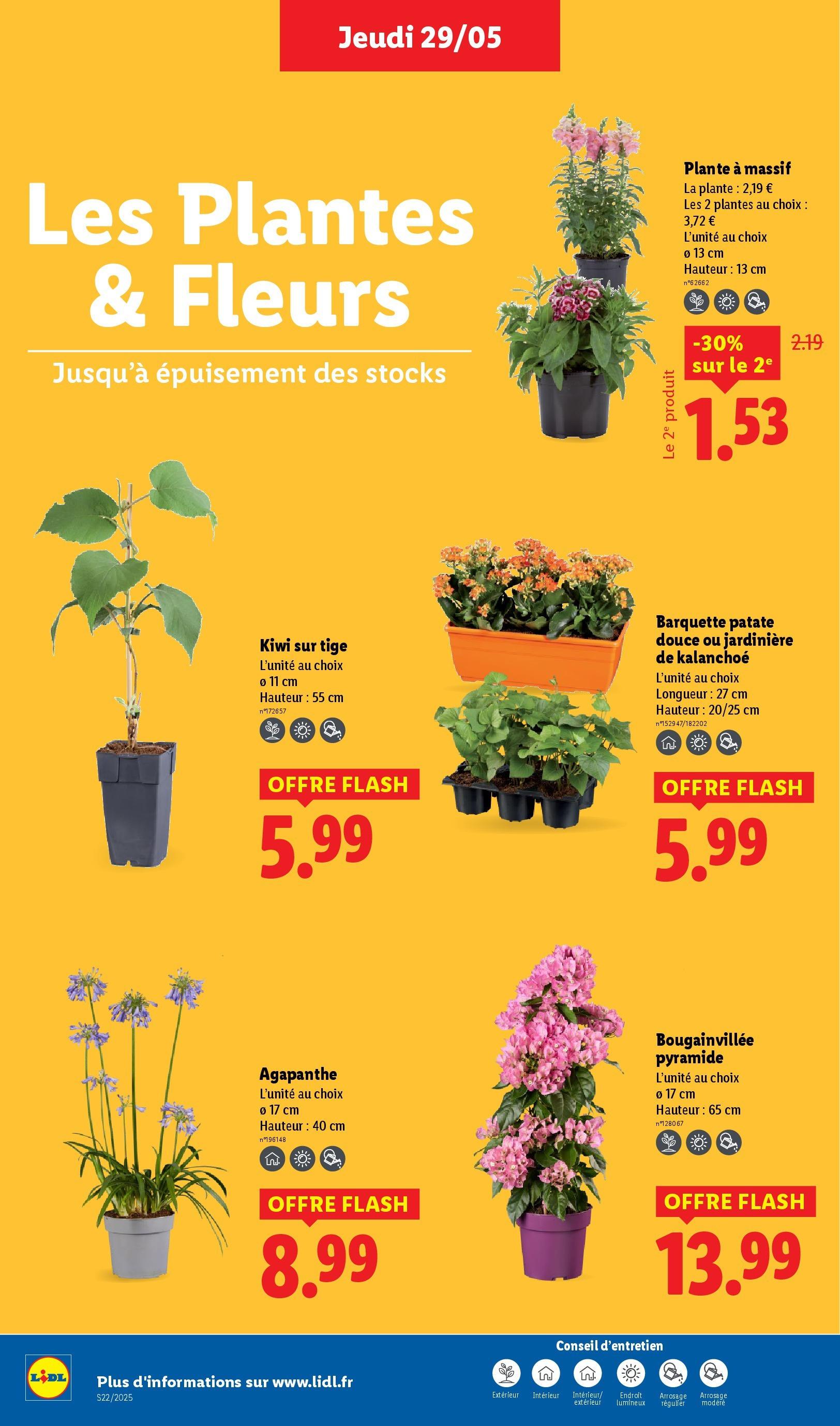 Catalogue LIDL du 28/05/2025 | Promo prospectus en ligne | Page: 32 | Produits: Plantes, Patate douce, Jardinière, Kiwi Catalogue LIDL du 28/05/2025 | Promo prospectus en ligne | Page: 32 | Produits: Plantes, Patate douce, Jardinière, Kiwi