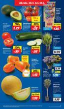 Lidl Lidl: Wochenangebote - bis 31.05.2025