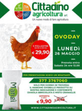 Lunedi 26 maggio