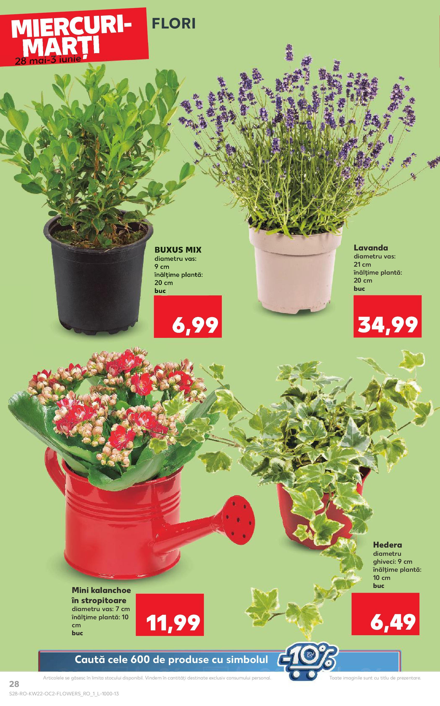 Catalog Kaufland - Râșnov 27.05.2025 || Revista si Oferte | Pagină: 28 | Produse: Ghiveci Catalog Kaufland - Râșnov 27.05.2025 - Revista si Oferta | Pagină: 28 | Produse: Ghiveci