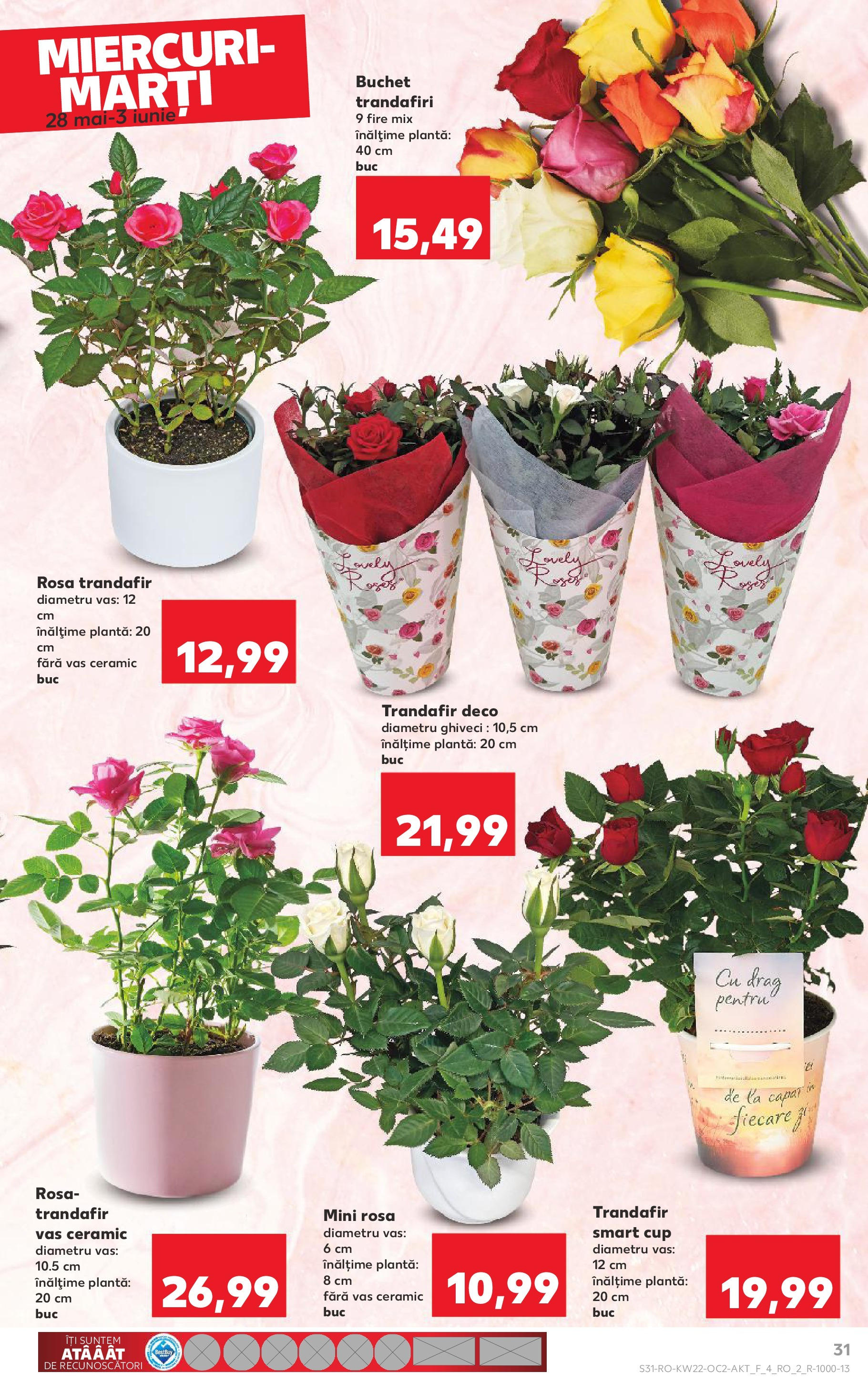 Catalog Kaufland - Râșnov 27.05.2025 || Revista si Oferte | Pagină: 31 | Produse: Trandafir, Ghiveci Catalog Kaufland - Râșnov 27.05.2025 - Revista si Oferta | Pagină: 31 | Produse: Trandafir, Ghiveci