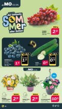 Netto APS : Wochenangebote