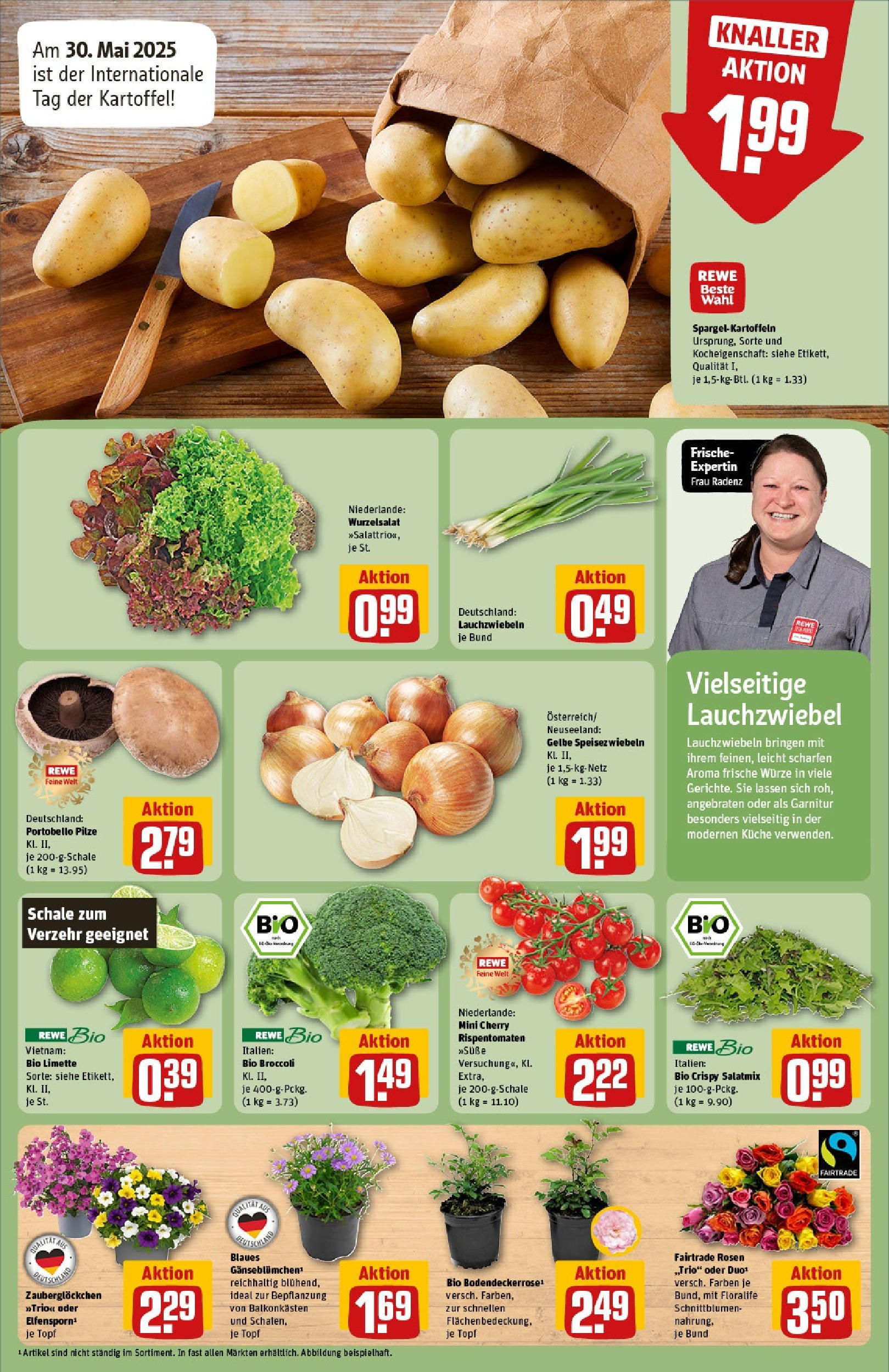 Rewe prospekt Brandenburg An Der Havel (ab 25.05.2025) zum Blättern