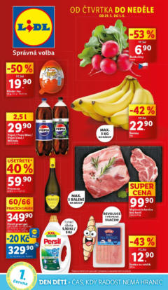 Náhled nabídky: Lidl Leták platný od 29.05.2025