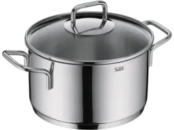 Silit Extra Cook Fleischtopf mit Deckel 20 cm (alle Herdarten, Silber, 18/10 Crominox Edelstahl)