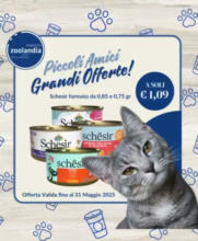 Grandi offerte