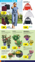 ADEG aktiv Markt Weiss HOFER: Flugblatt - ab 30.05.2025