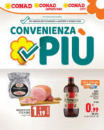 Conad City CONVENIENZA PIU - al 03.06.2025