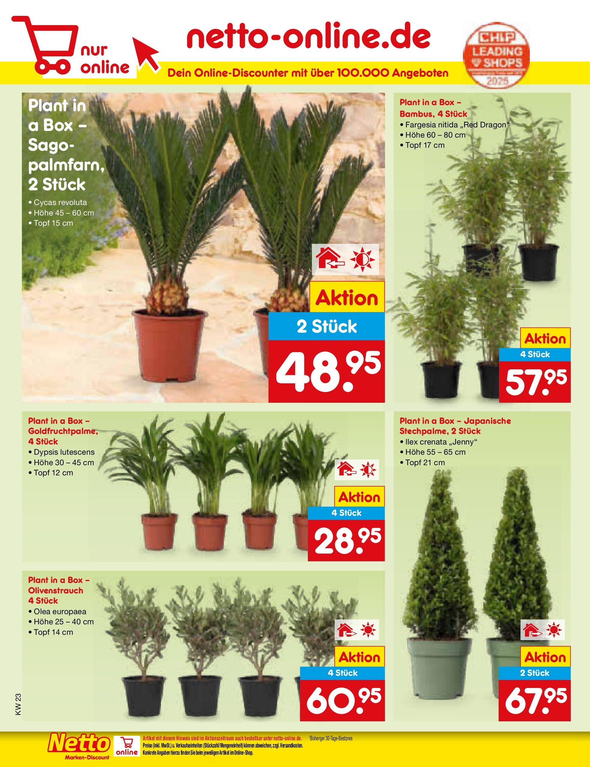 Netto Marken-Discount prospekt Berlin-Spandau (ab 01.06.2025) » Angebote | Seite: 8 | Produkte: Box