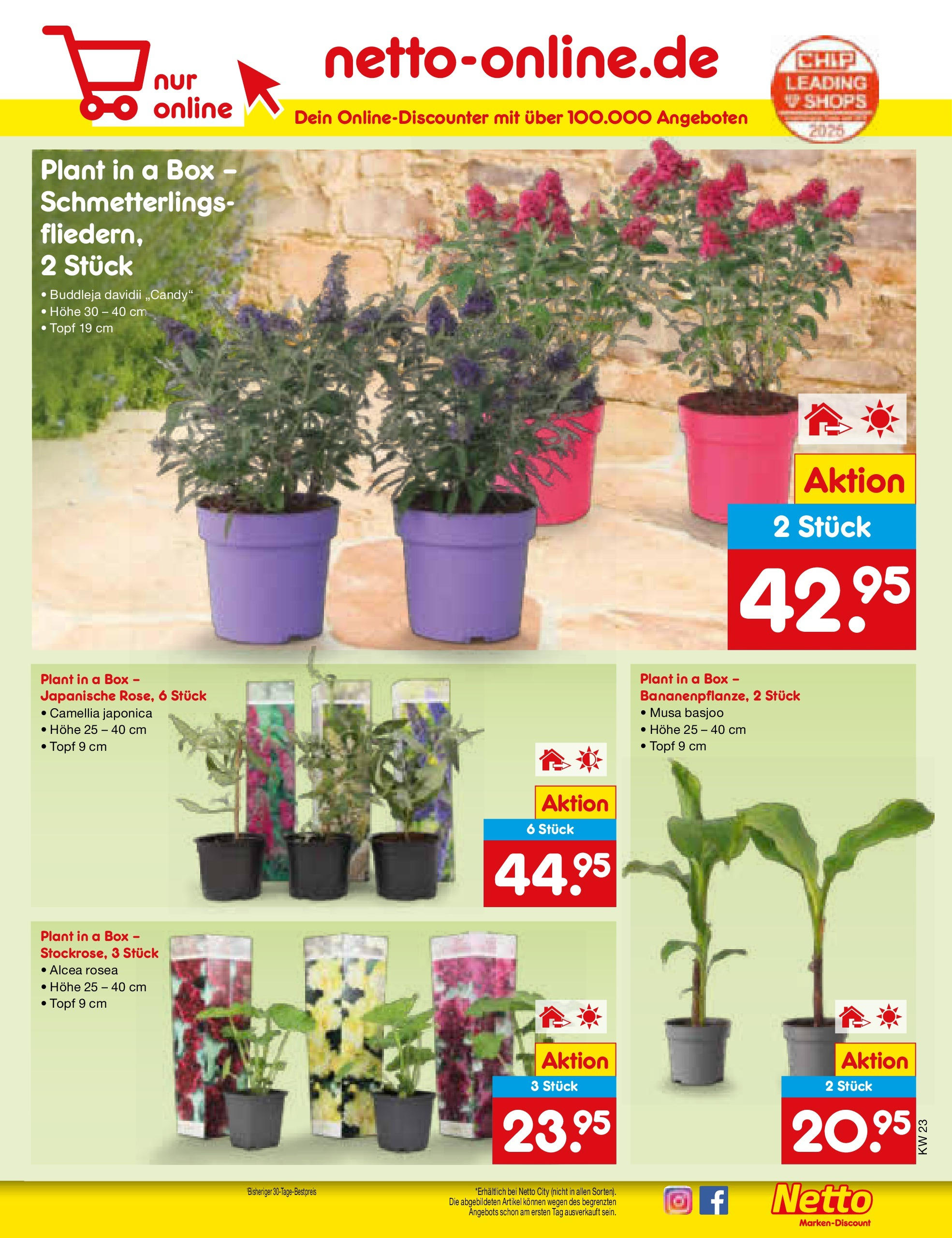 Netto Marken-Discount prospekt Berlin-Spandau (ab 01.06.2025) » Angebote | Seite: 9 | Produkte: Box