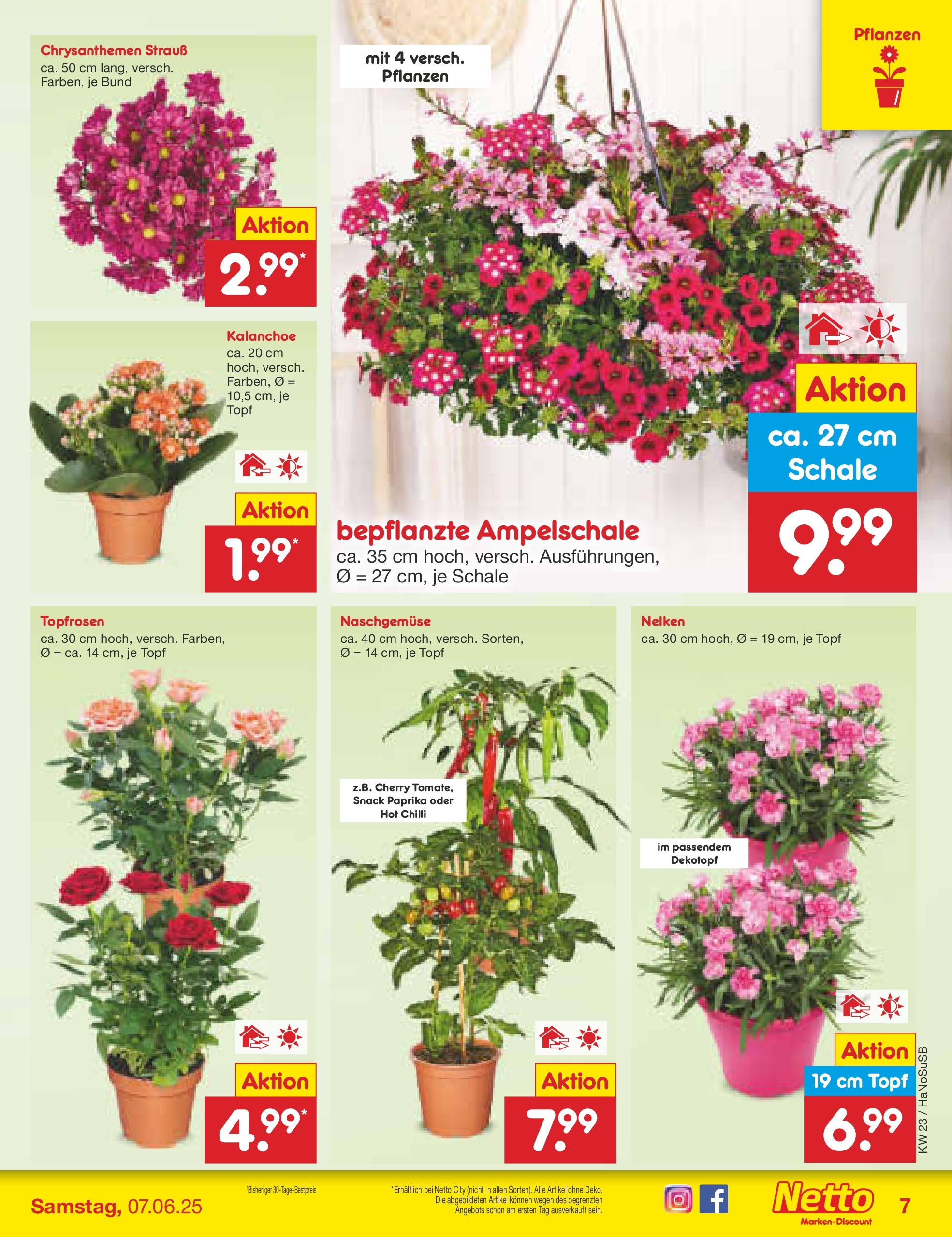 Netto Marken-Discount prospekt Schwerte-Geisecke (ab 01.06.2025) » Angebote | Seite: 7 | Produkte: Paprika