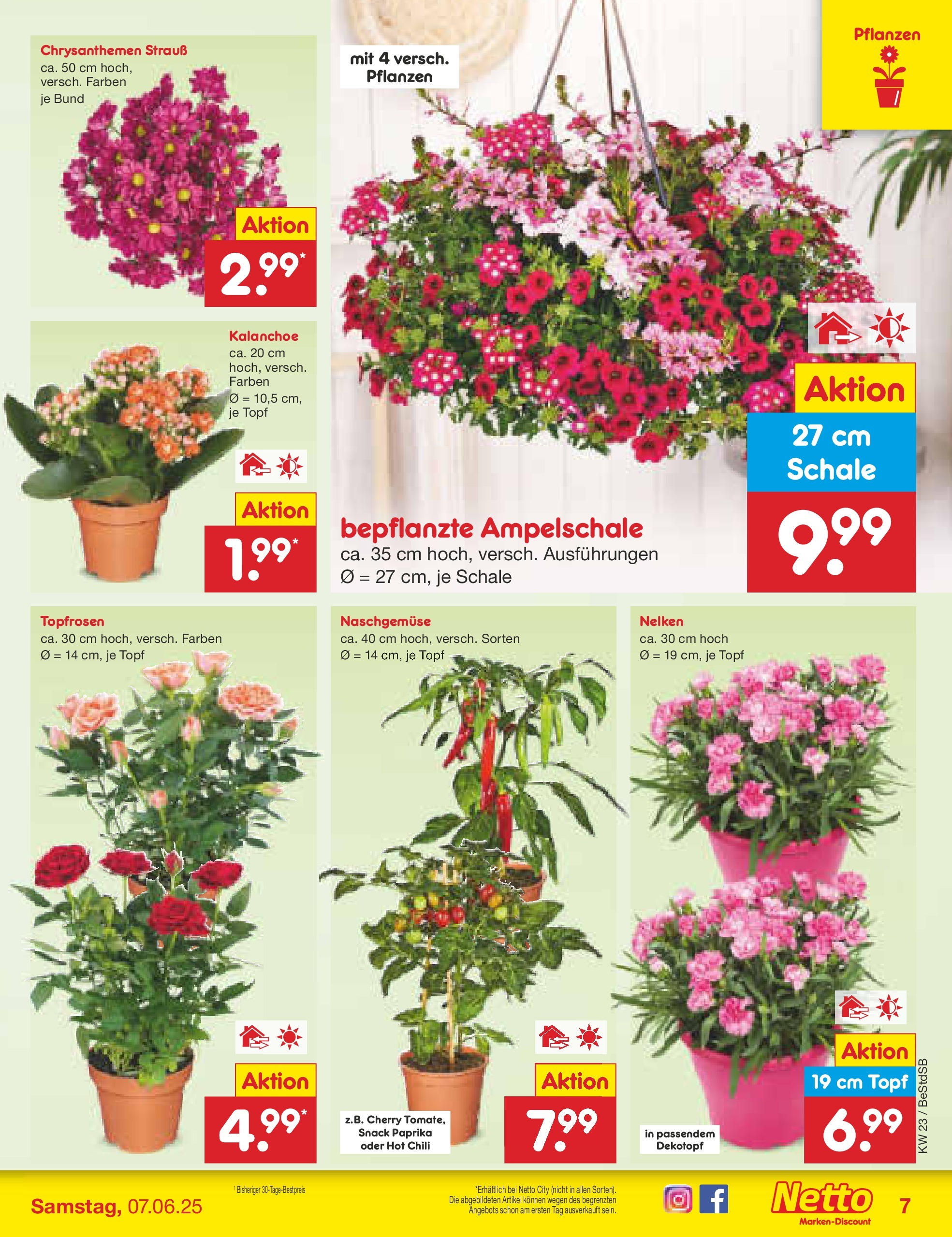 Netto Marken-Discount prospekt Berlin-Spandau (ab 01.06.2025) » Angebote | Seite: 7 | Produkte: Paprika, Chili