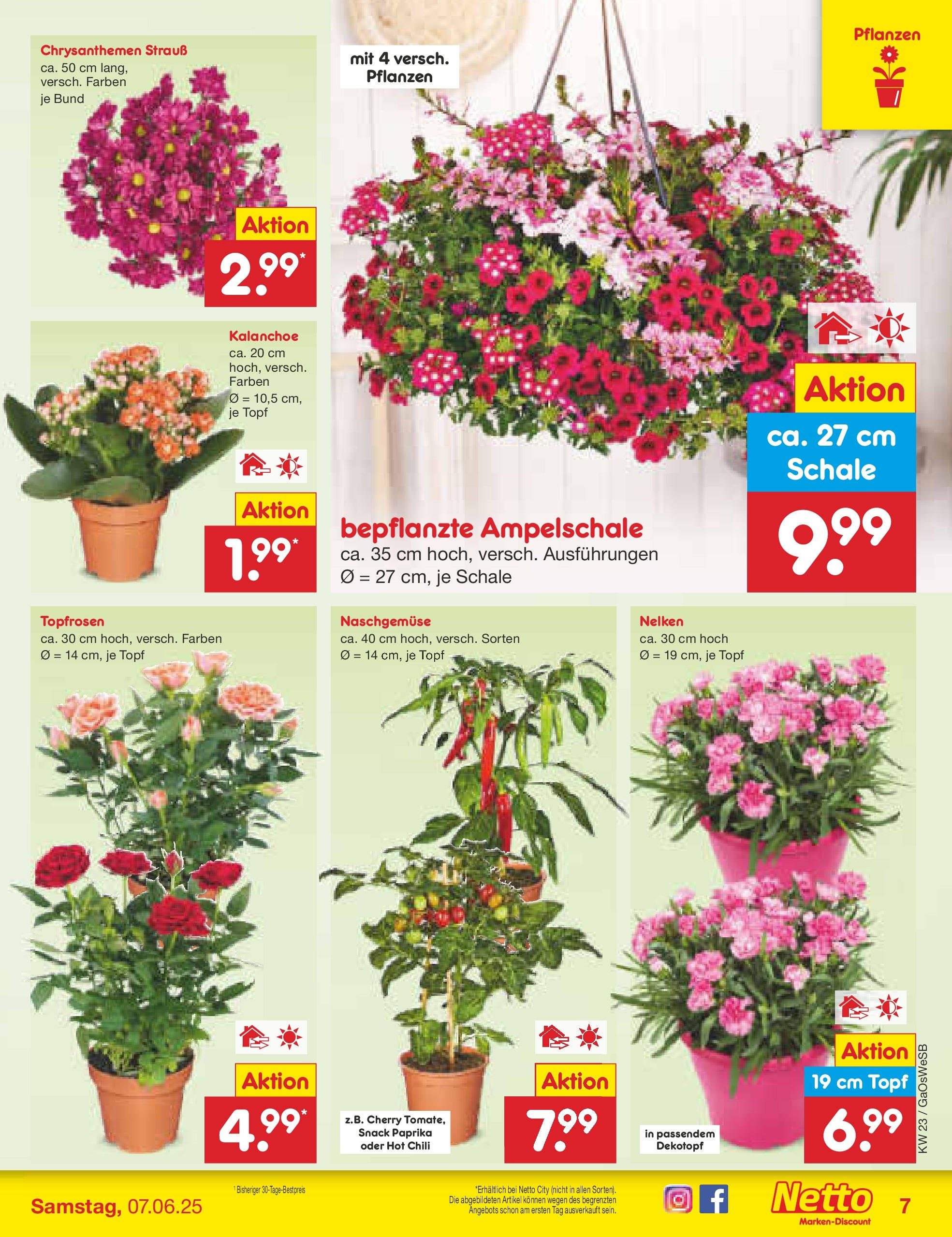 Netto Marken-Discount prospekt Moormerland (ab 01.06.2025) » Angebote | Seite: 7 | Produkte: Paprika, Chili