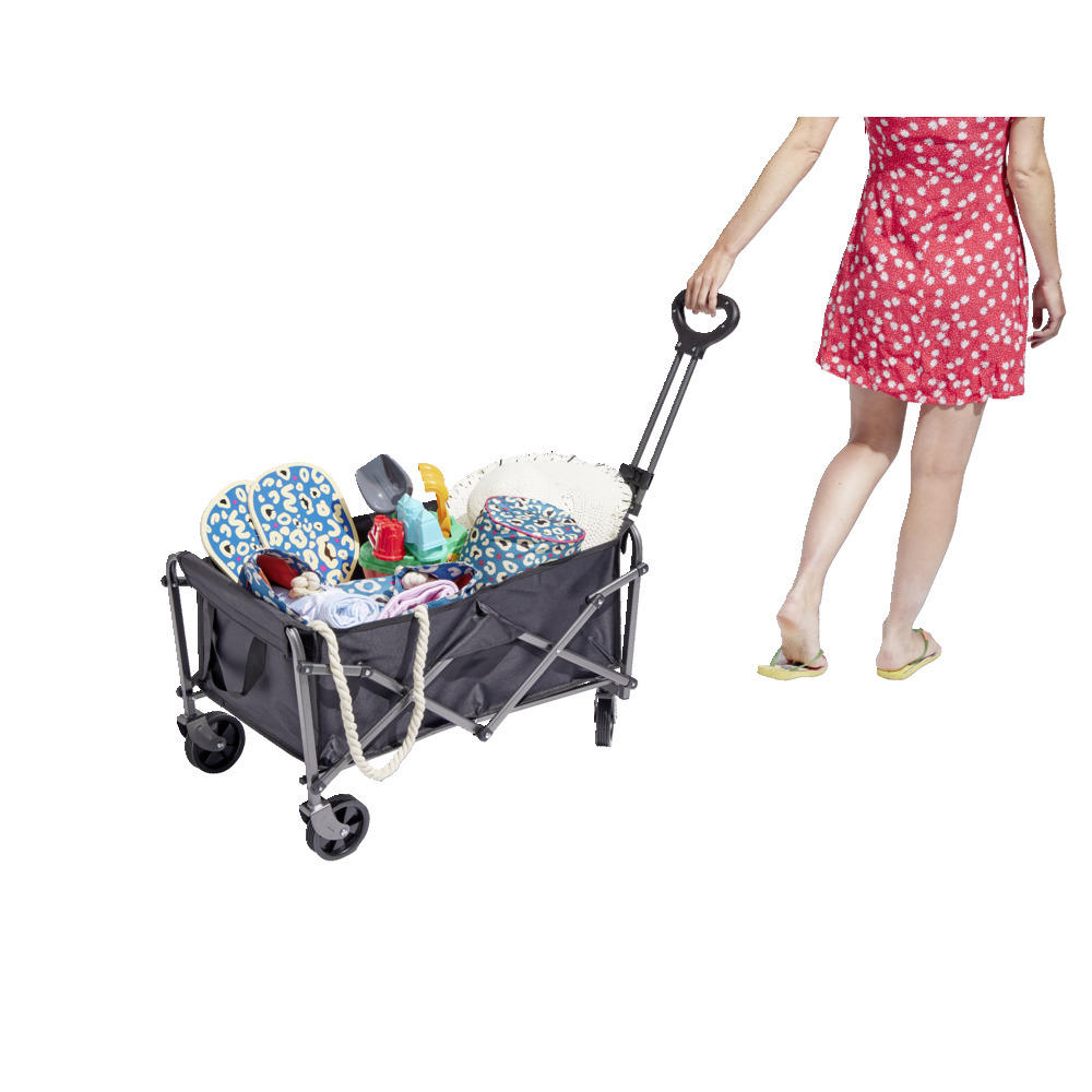 Chariot de plage