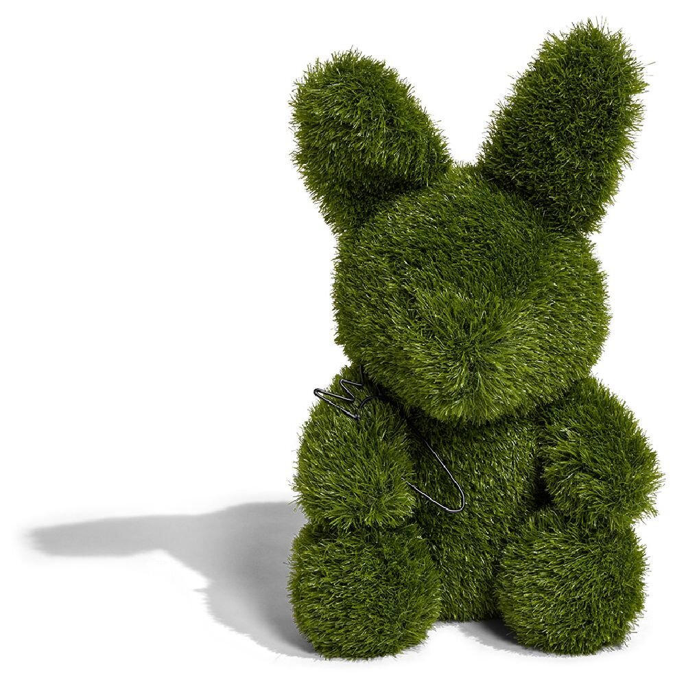 Lapin gazon