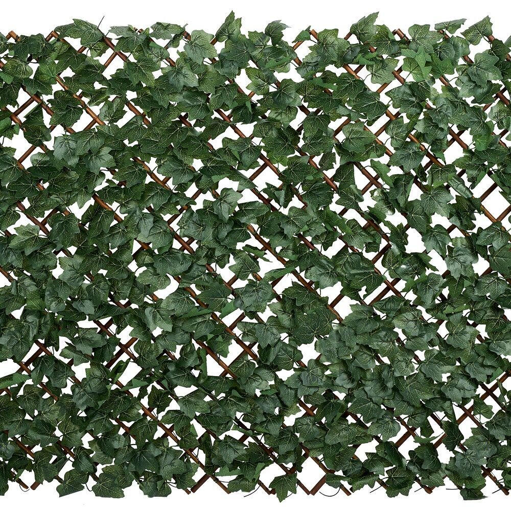 Treillis extensible feuillage osier