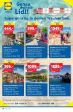 Lidl Österreich Lidl: Flugblatt in deiner Nähe - ab 05.06.2025