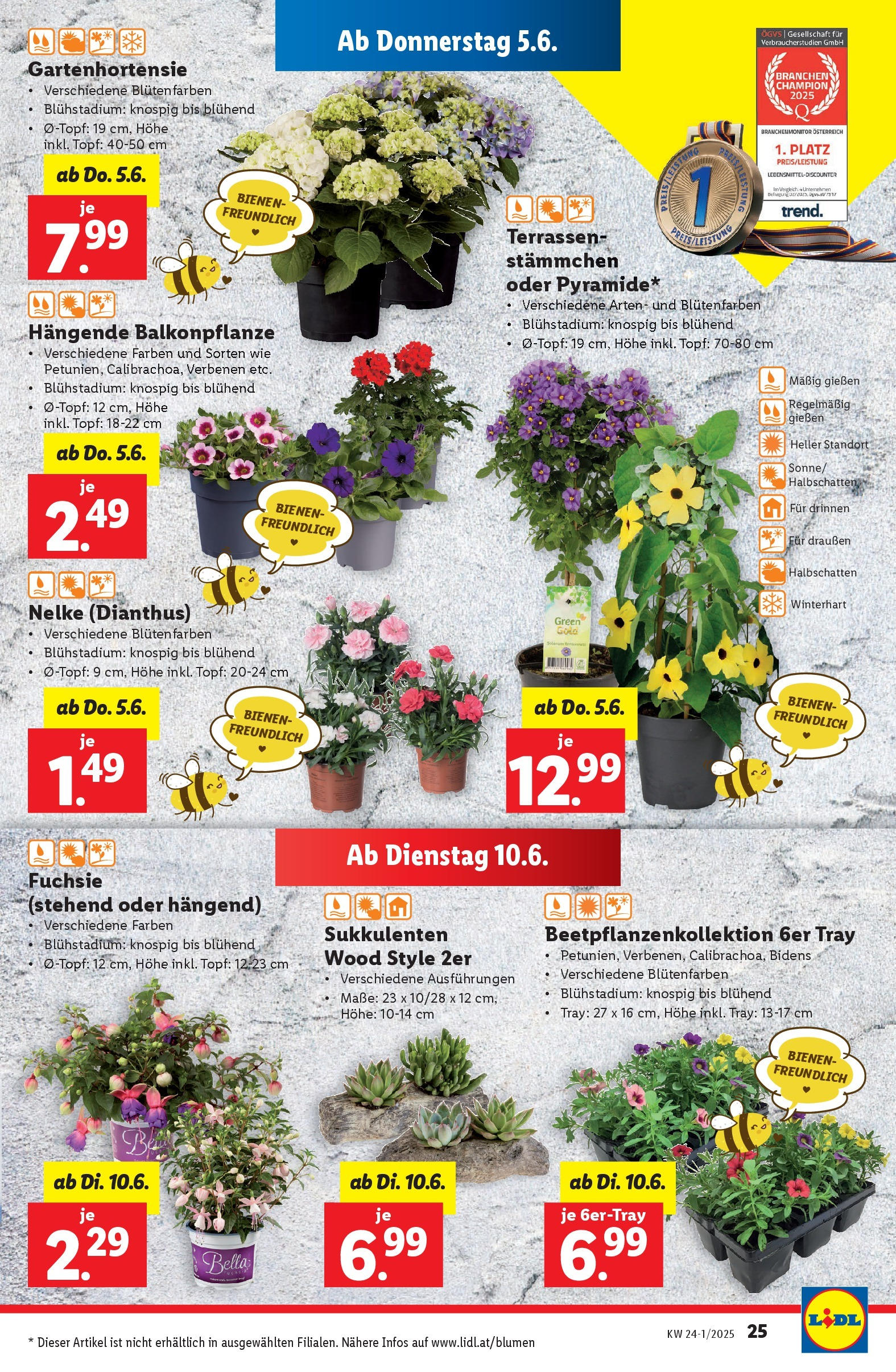 Lidl Flugblatt - Wien ab 04.06.2025 - Angebote ab donnerstag | Seite: 29