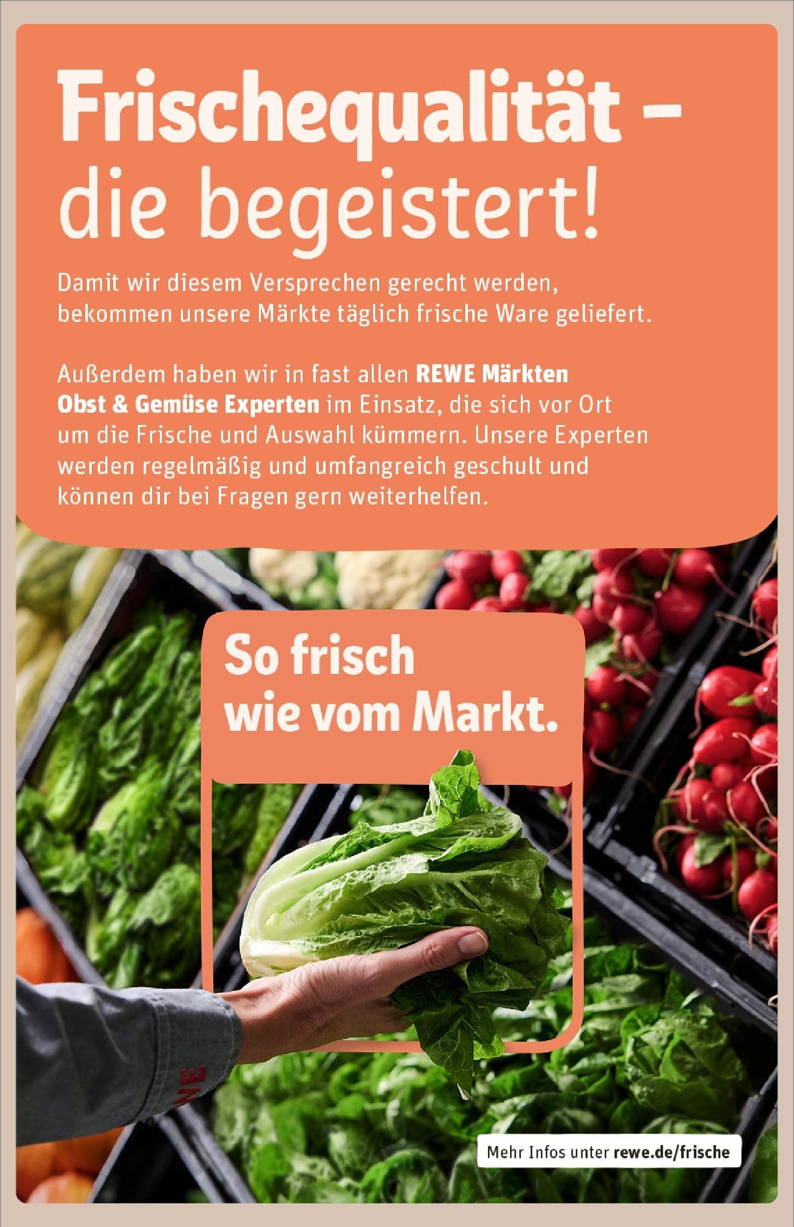 Rewe prospekt Bad Orb	 (ab 01.06.2025) zum Blättern » Angebote | Seite: 26 | Produkte: Gemüse, Obst