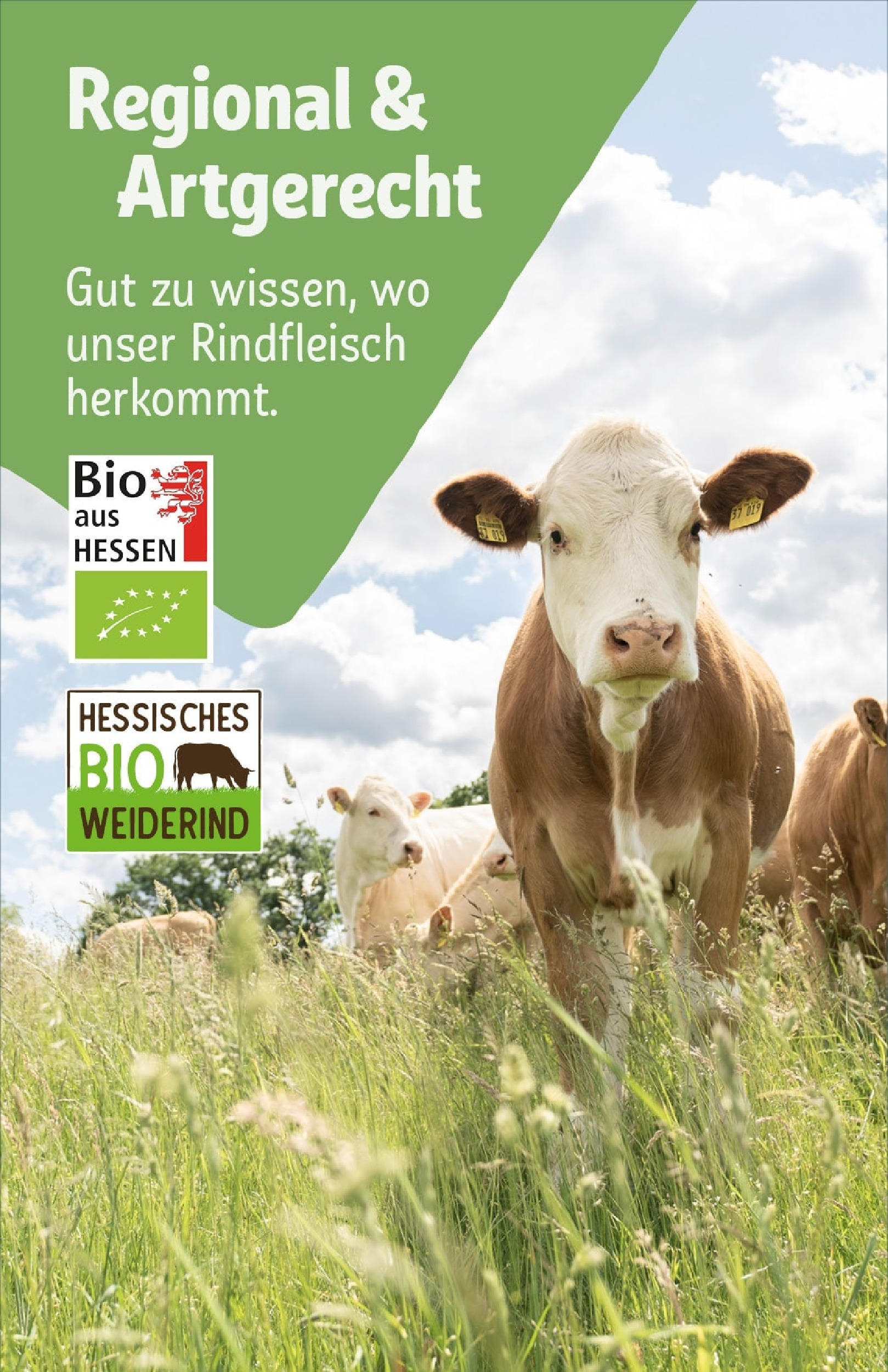 Rewe prospekt Friedrichsdorf	 (ab 01.06.2025) zum Blättern » Angebote | Seite: 39