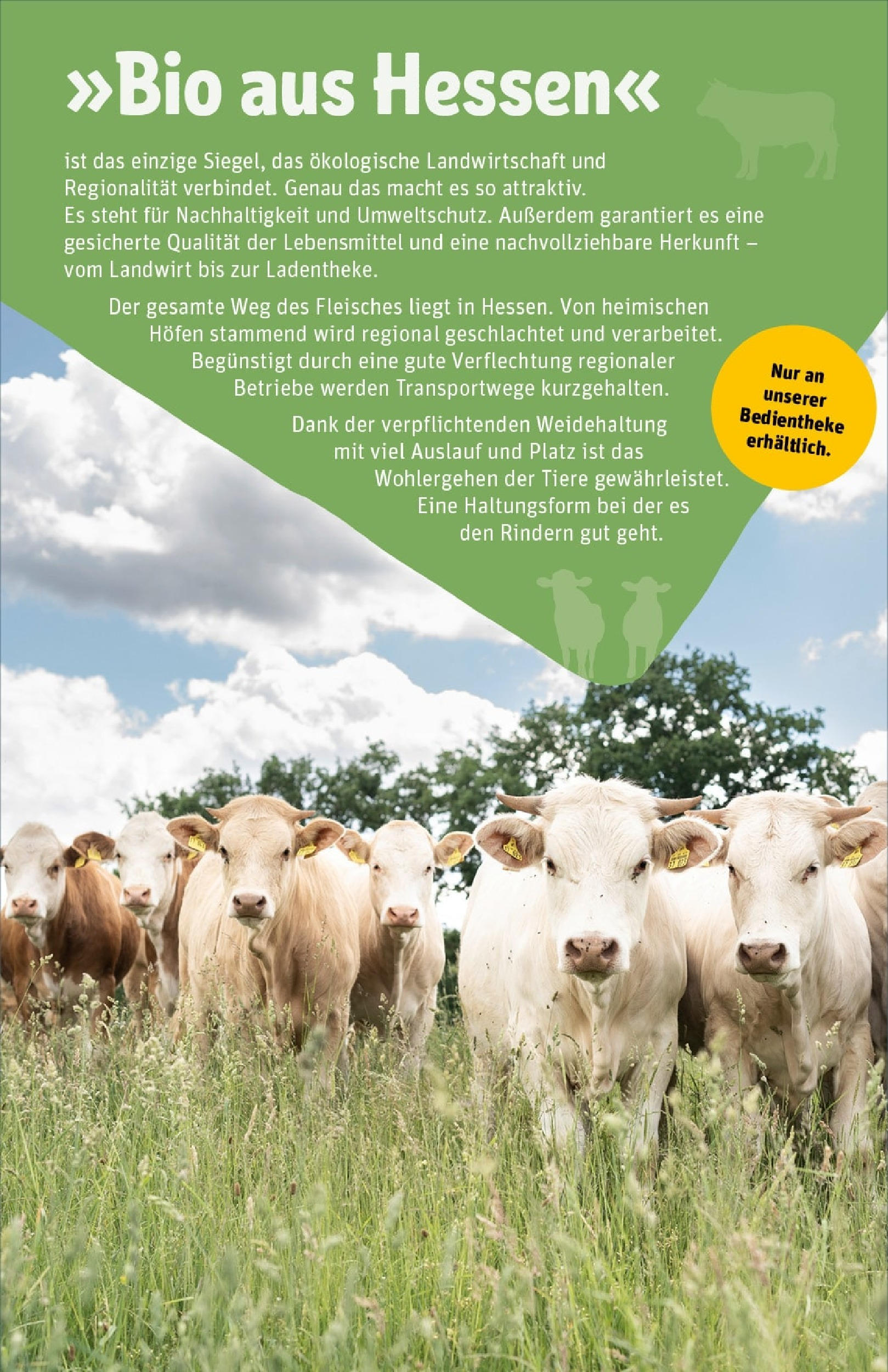 Rewe prospekt Friedrichsdorf	 (ab 01.06.2025) zum Blättern » Angebote | Seite: 40