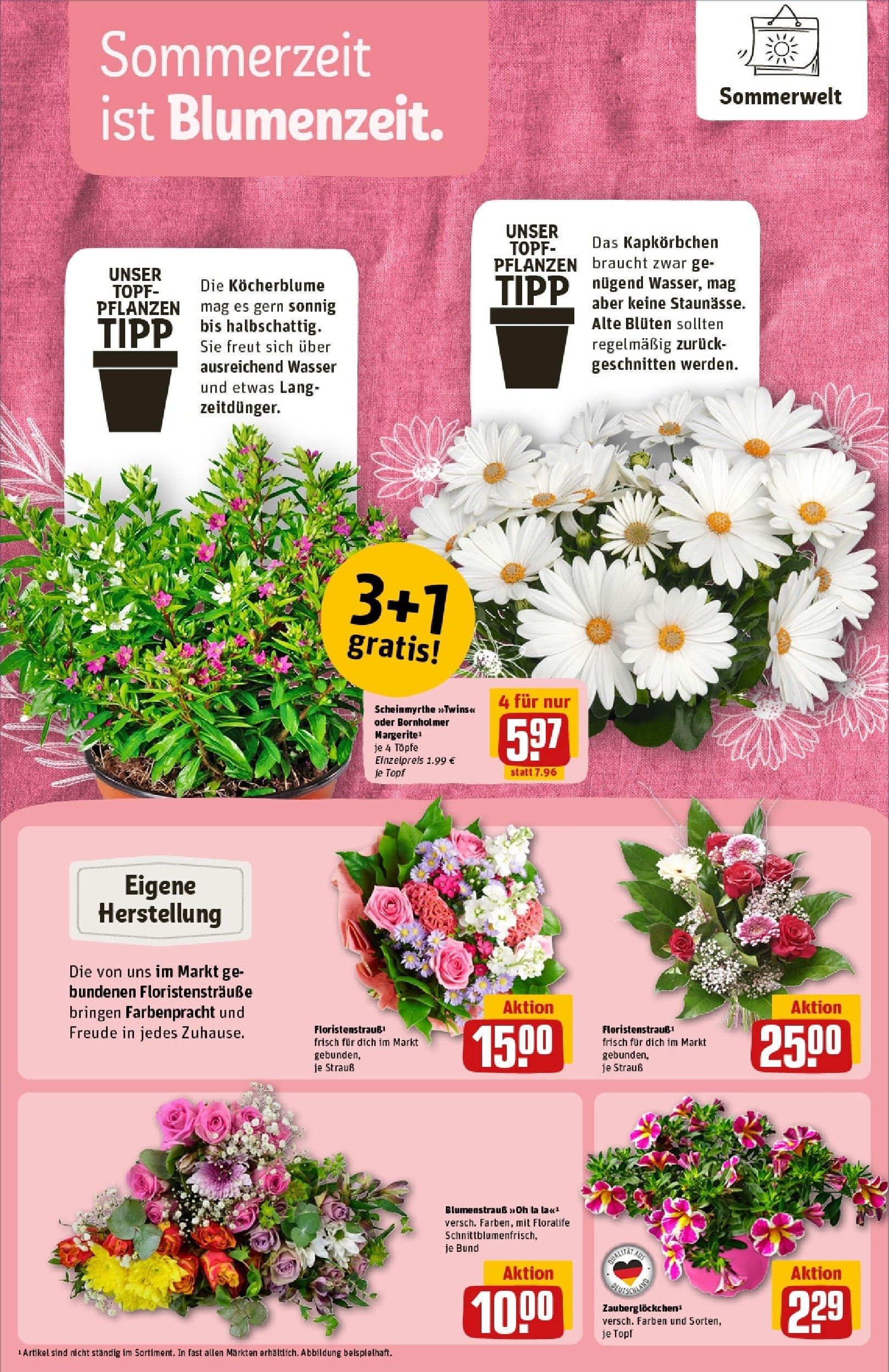 Rewe prospekt Egelsbach	 (ab 01.06.2025) zum Blättern » Angebote | Seite: 16 | Produkte: Erdnüsse, Batida de coco, Orangensaft, Sahne