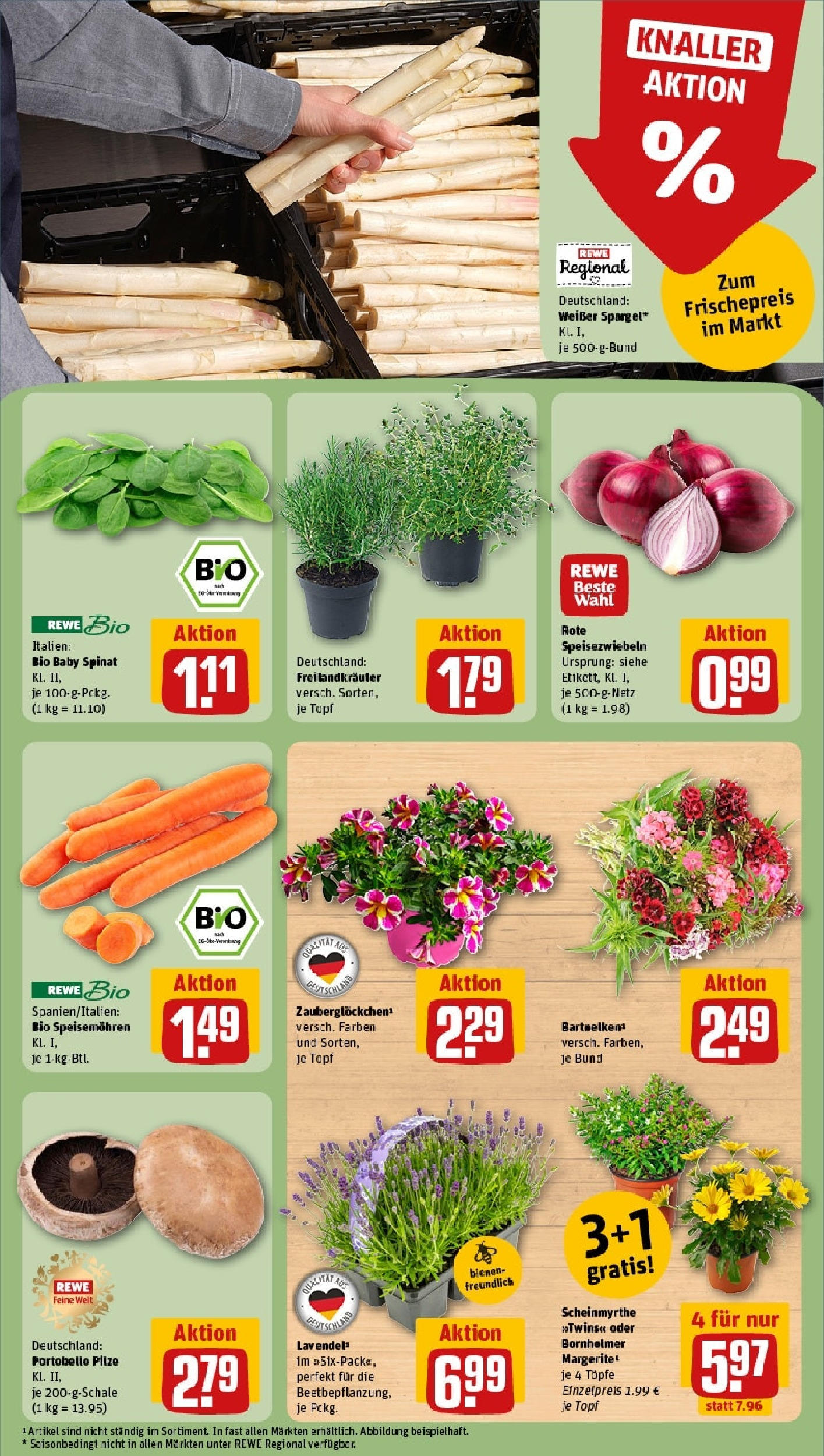 Rewe prospekt Laupheim	 (ab 01.06.2025) zum Blättern » Angebote | Seite: 11 | Produkte: Quark, Grunlander, Salakis, Maus