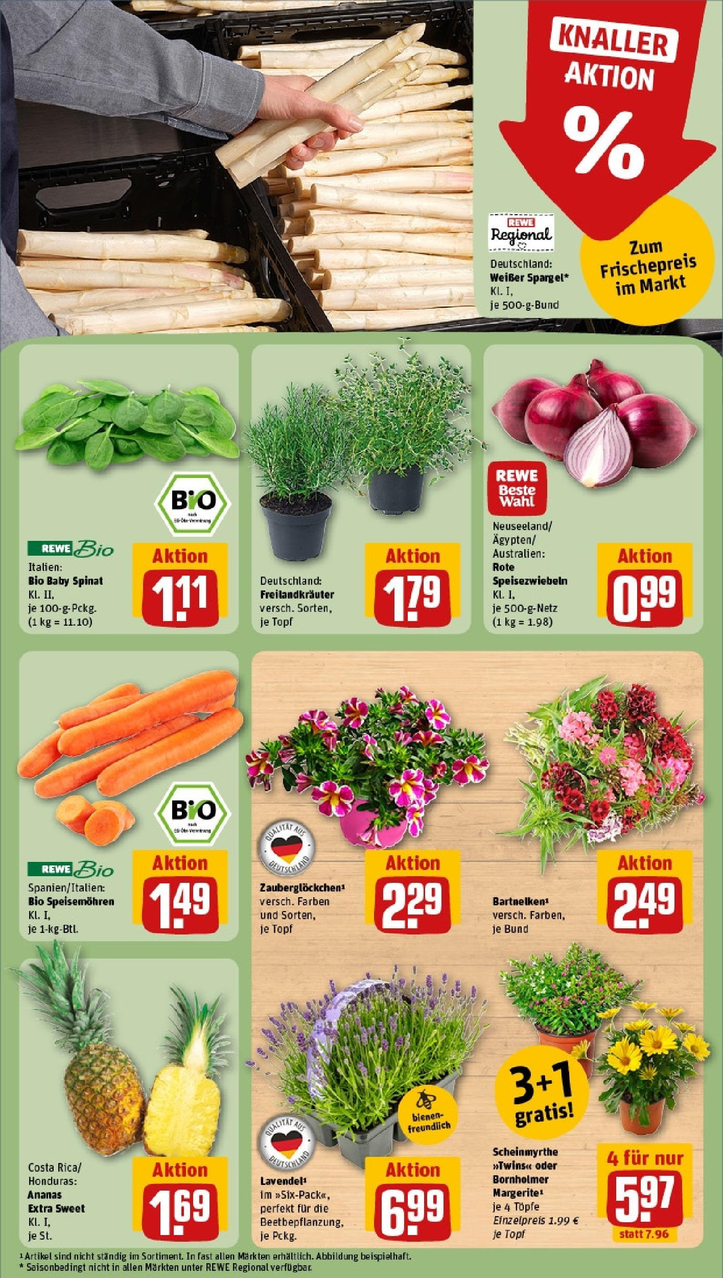 Rewe prospekt Mainz	 (ab 01.06.2025) zum Blättern » Angebote | Seite: 11 | Produkte: Burger, Paprika, Salakis, Maus