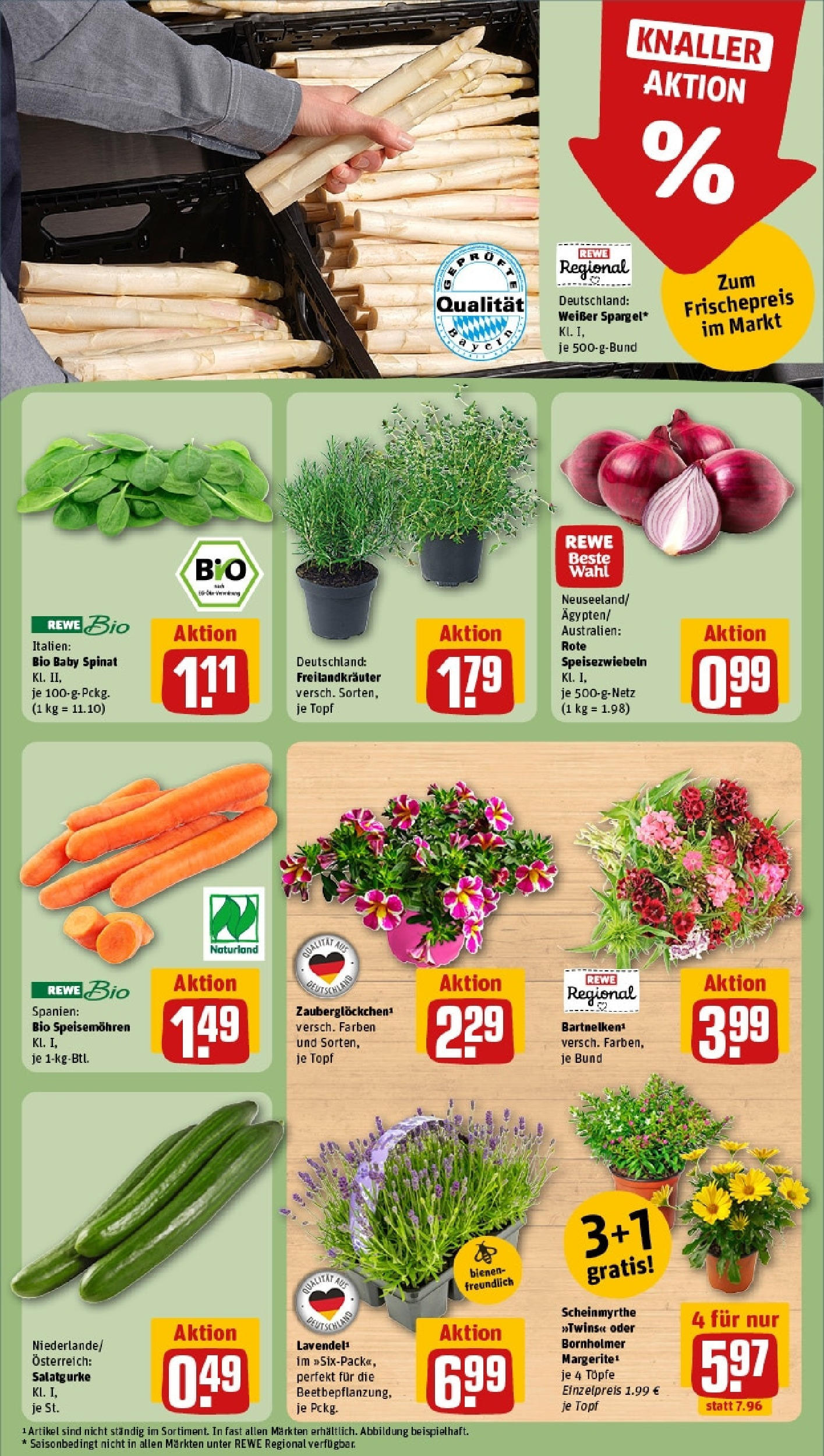 Rewe prospekt Neuried	 (ab 01.06.2025) zum Blättern » Angebote | Seite: 11 | Produkte: Quark, Leerdammer, Maus, Schafskase