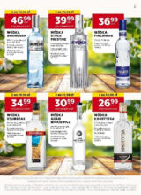 Stokrotka gazetka