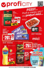 Profi Catalog Profi până în data de 10.06.2025 - până la 10-06-25