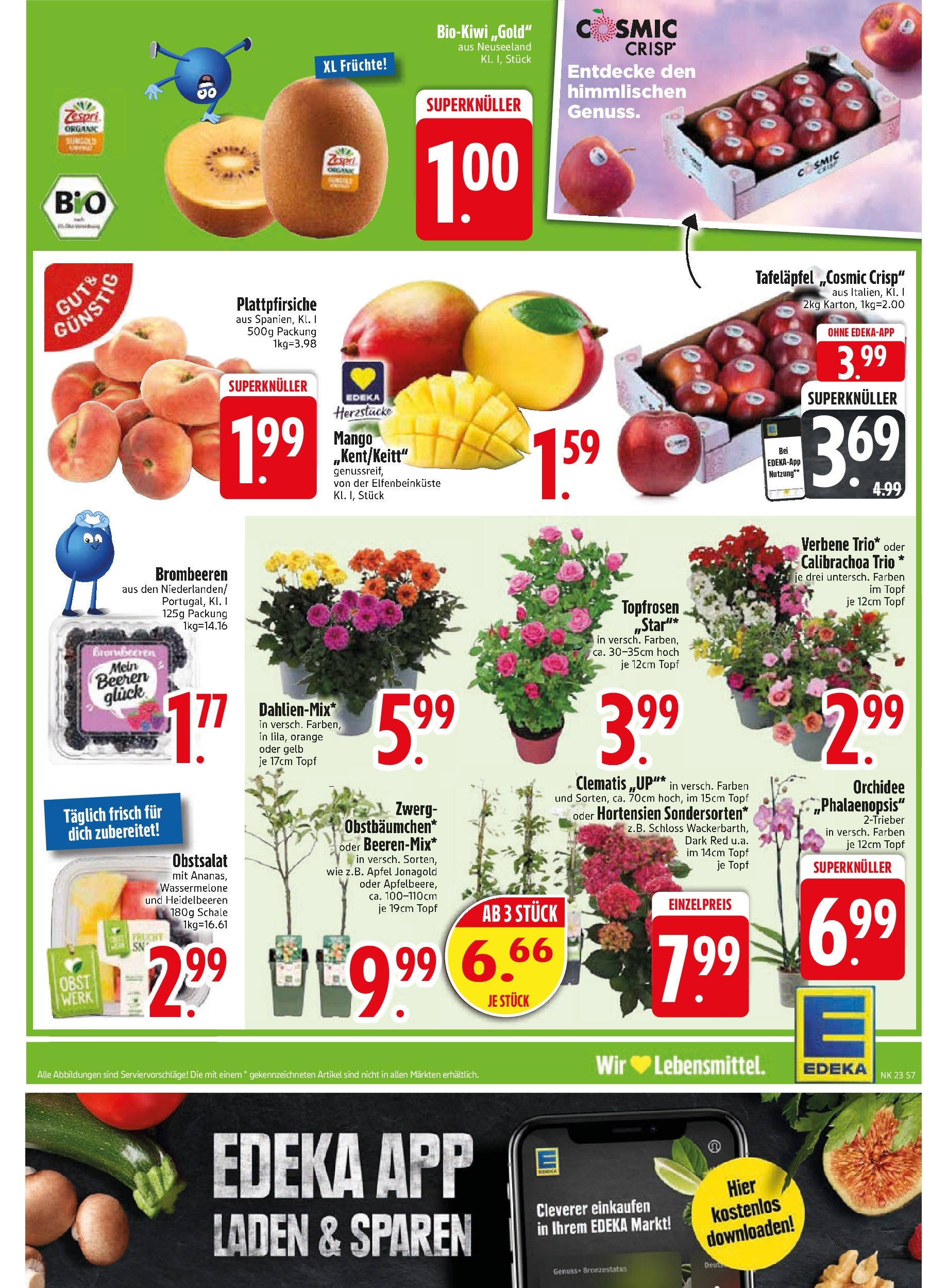 Edeka prospekt Unterföhring	 (ab 02.06.2025) » Angebote Online | Seite: 9 | Produkte: Orchidee, Heidelbeeren, Wassermelone, Kiwi