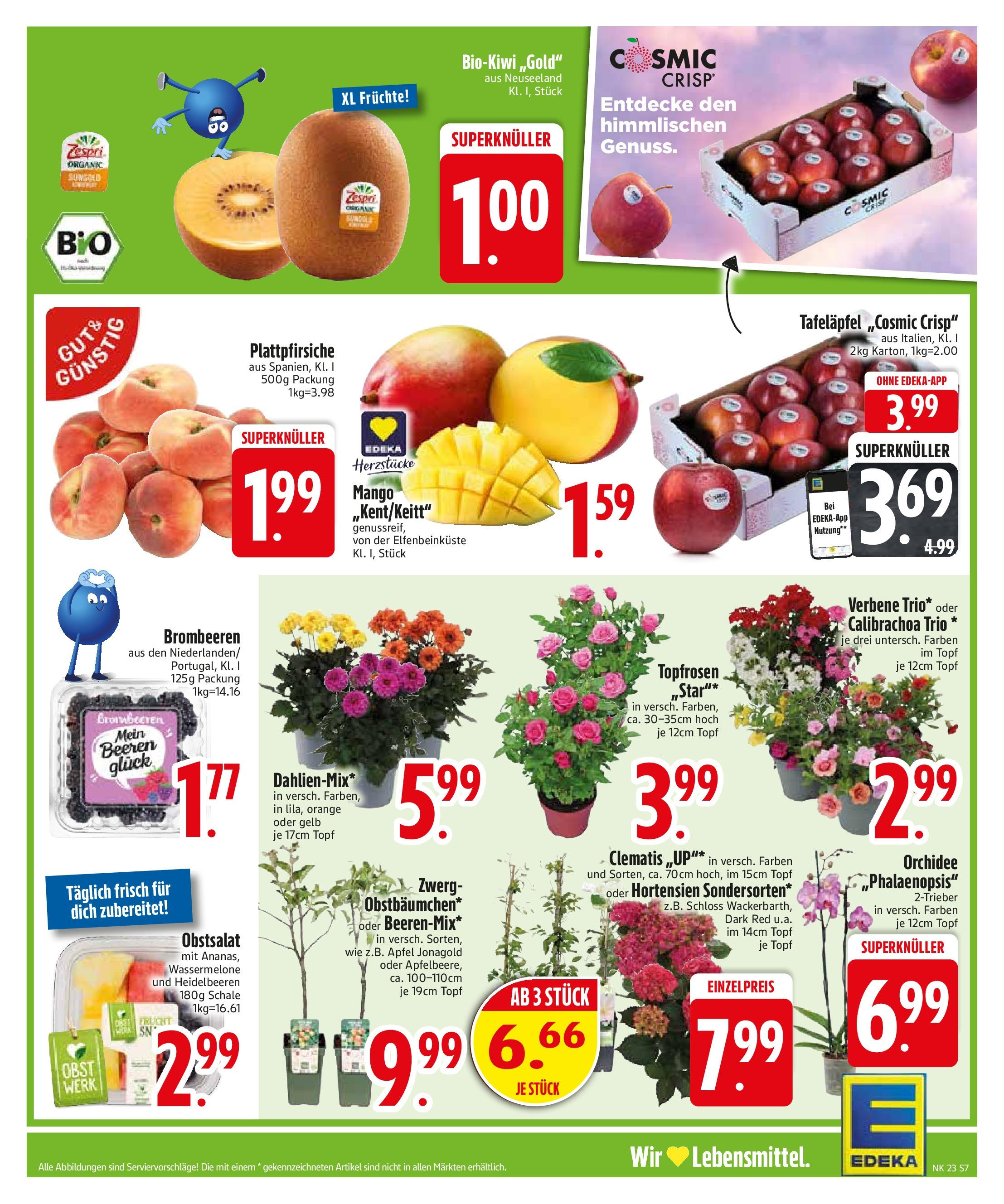 Edeka prospekt Bodenwöhr	 (ab 01.06.2025) » Angebote Online | Seite: 9 | Produkte: Heidelbeeren, Obst, Wassermelone, Kiwi