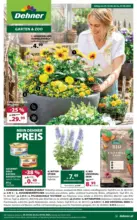 Dehner: Garten & Zoo
