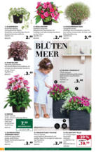 Dehner Hohenems Dehner: Garten & Zoo - bis 07.06.2025