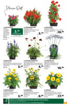 Dehner Hohenems Dehner: Garten & Zoo - bis 07.06.2025