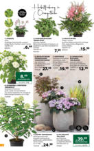 Dehner Hohenems Dehner: Garten & Zoo - bis 07.06.2025