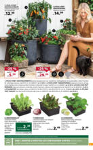 Dehner Hohenems Dehner: Garten & Zoo - bis 07.06.2025