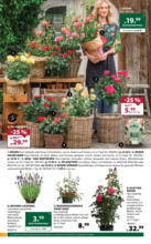 Dehner Hohenems Dehner: Garten & Zoo - bis 07.06.2025