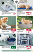Dehner Hohenems Dehner: Garten & Zoo - bis 07.06.2025