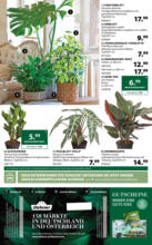 Dehner Hohenems Dehner: Garten & Zoo - bis 07.06.2025